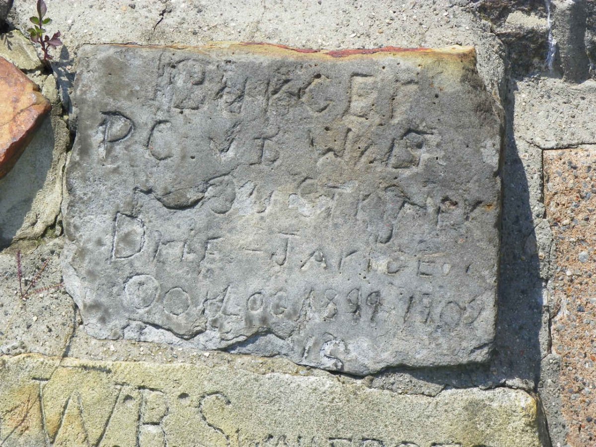 WALT P.C., van der