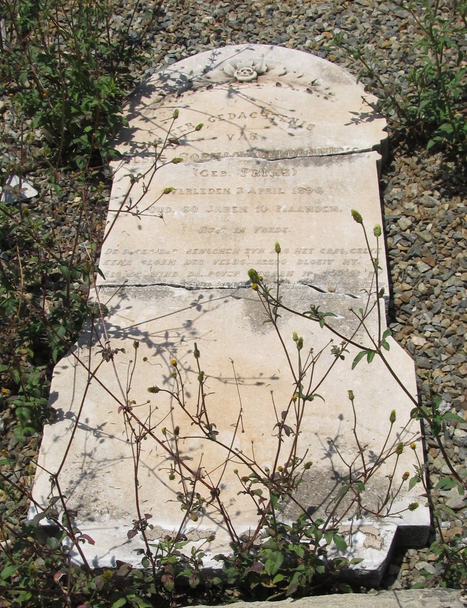 GELDENHUYS Elsie Sophia nee PRINS -1896