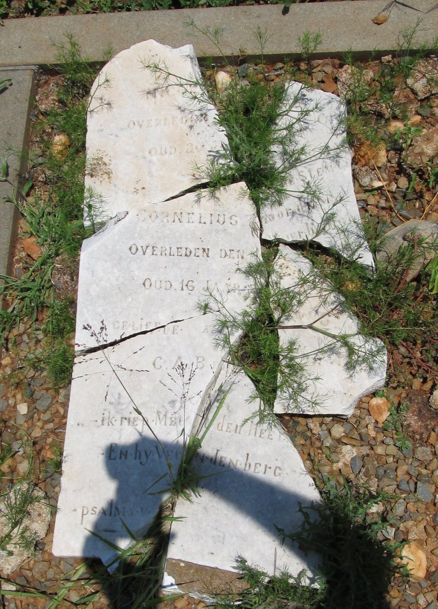 ? Cornelius 