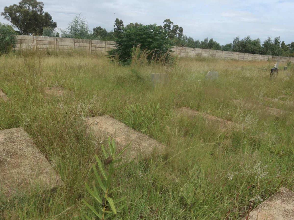 4. Overview