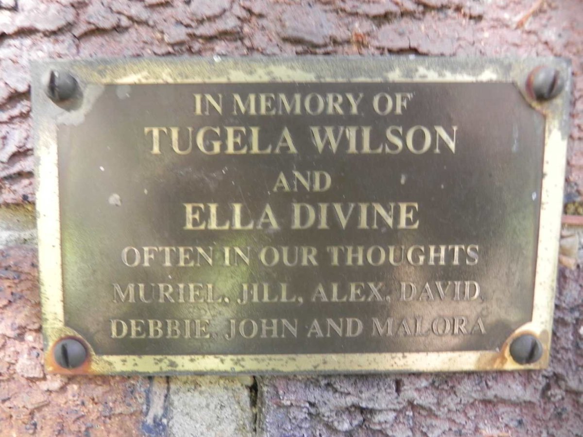 WILSON Tugela :: DIVINE Ella