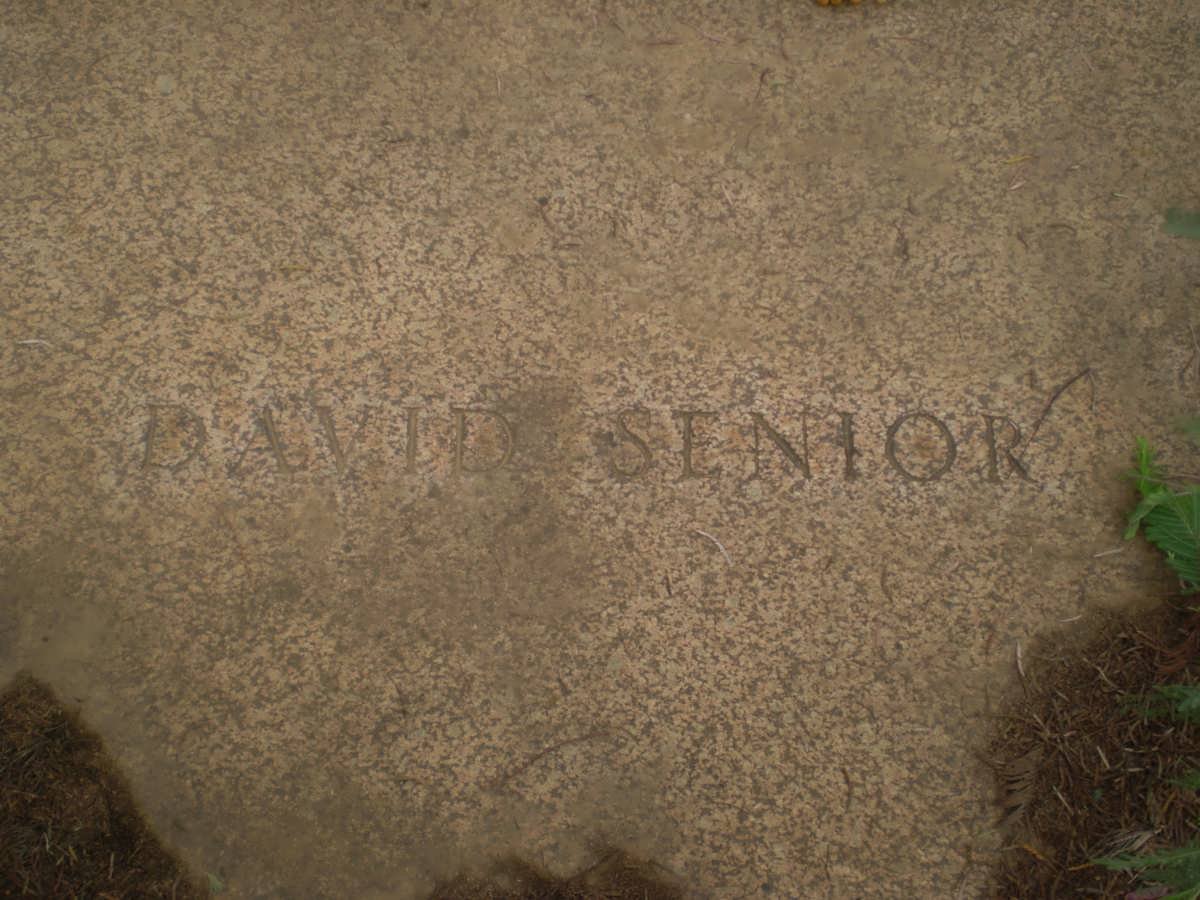 SENIOR David
