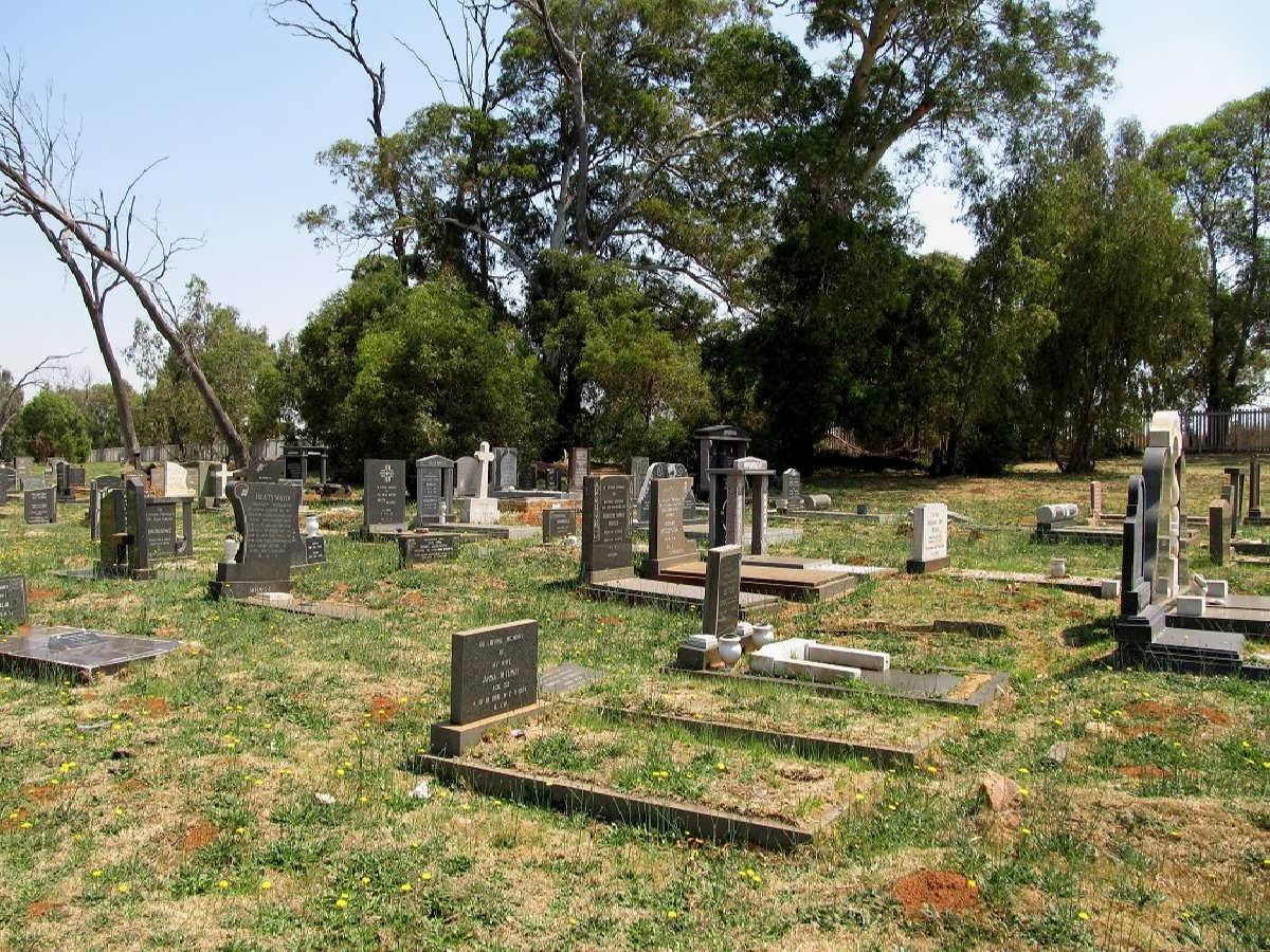4. Overview