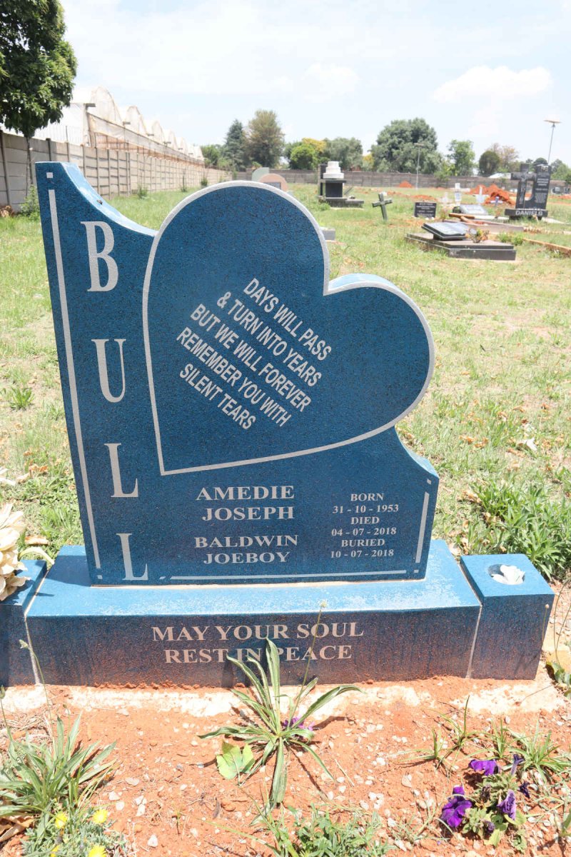 BALDWIN Amedie Joseph 1953-2018