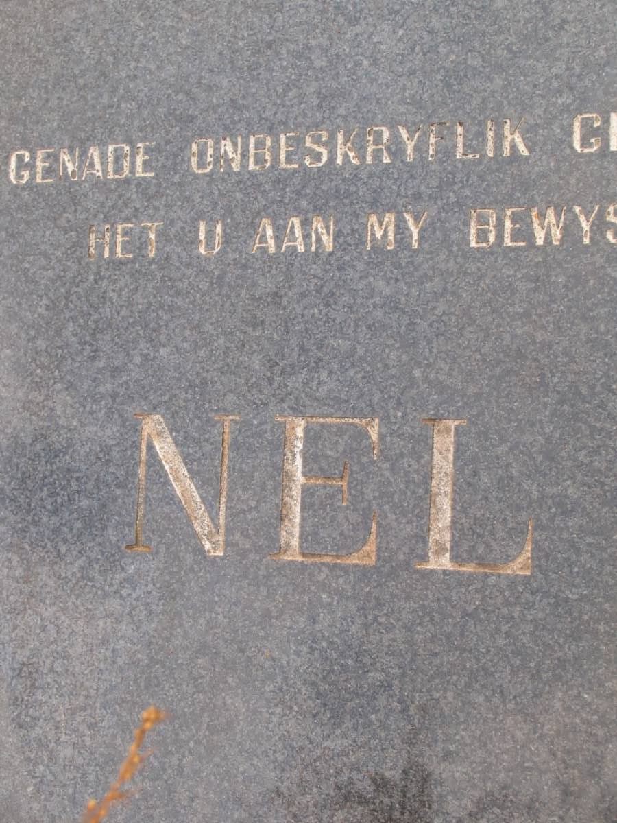 NEL T.C. 1936-1999 _1