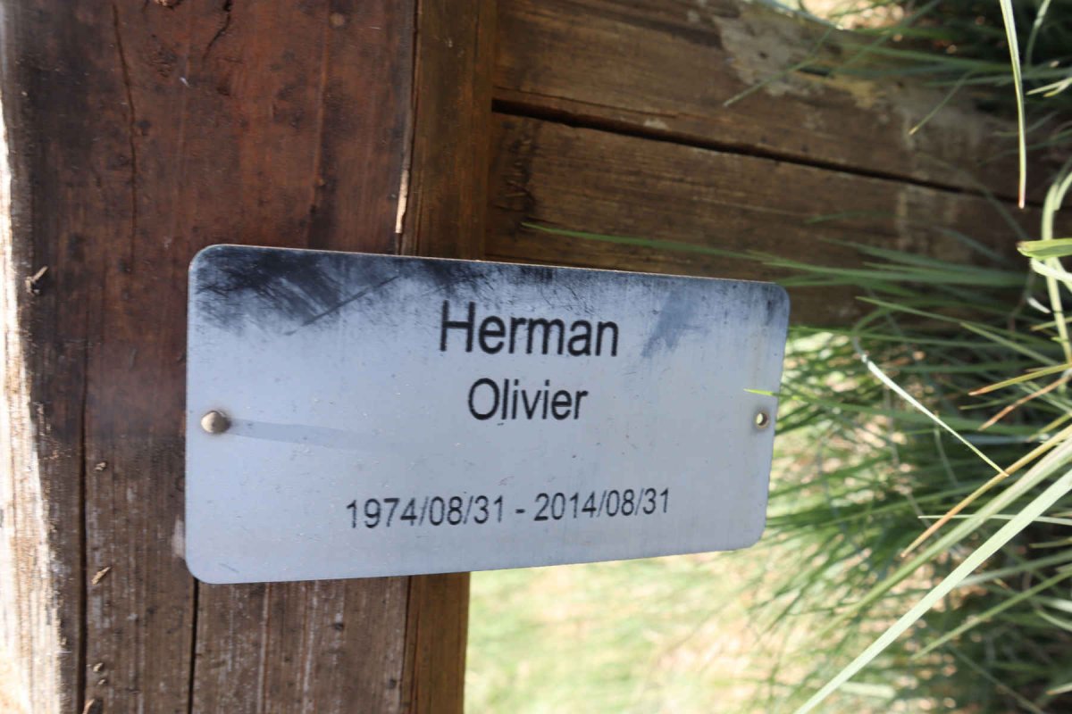 OLIVIER Herman 1974-2014