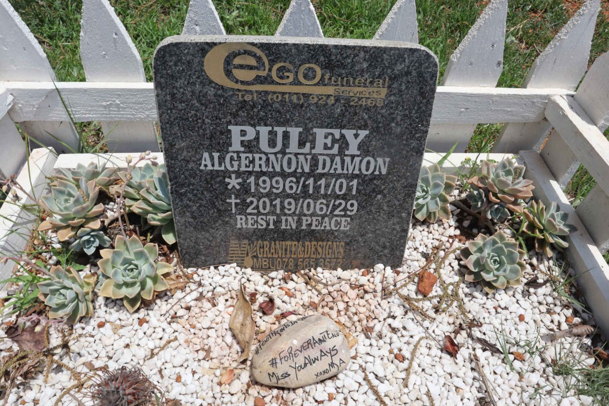 PULEY Algernon Damon 1996-2019