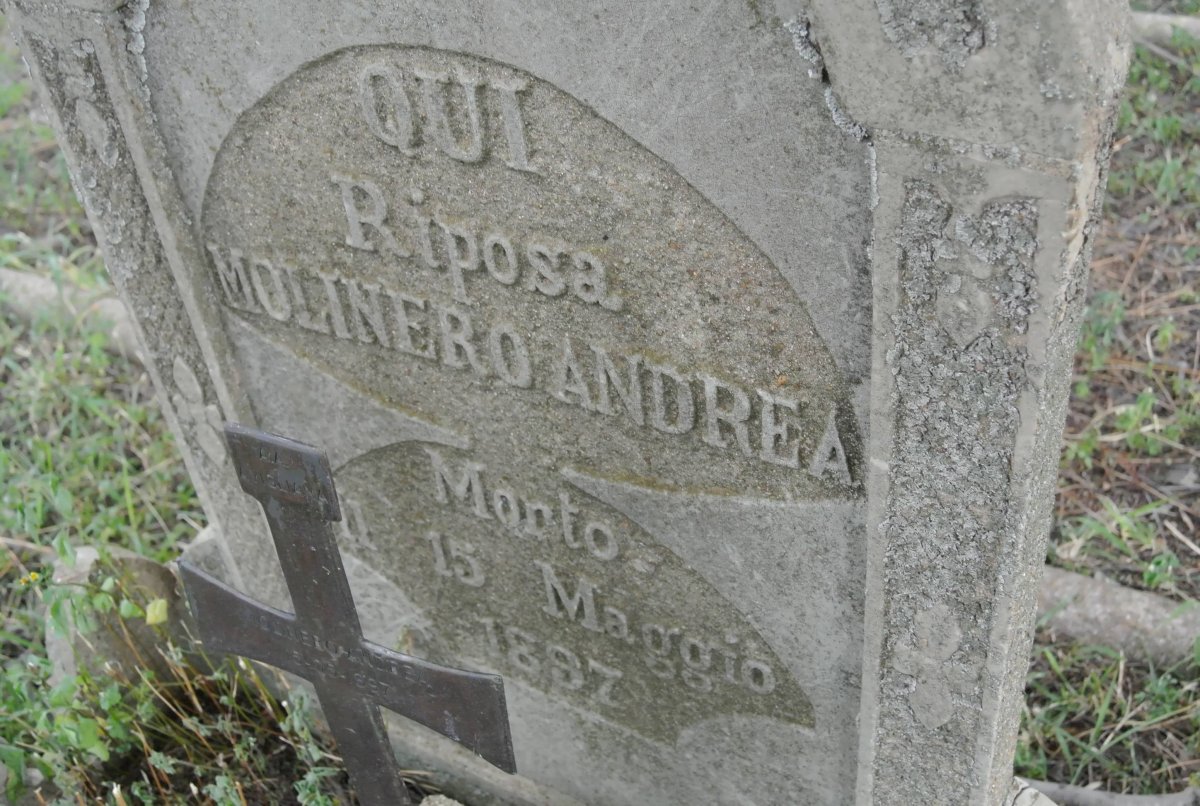 ANDREA Molinero -1897