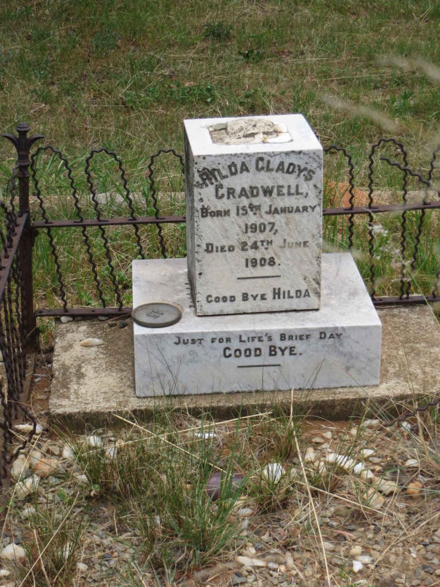 CRADWELL Hilda Gladys 1907-1908