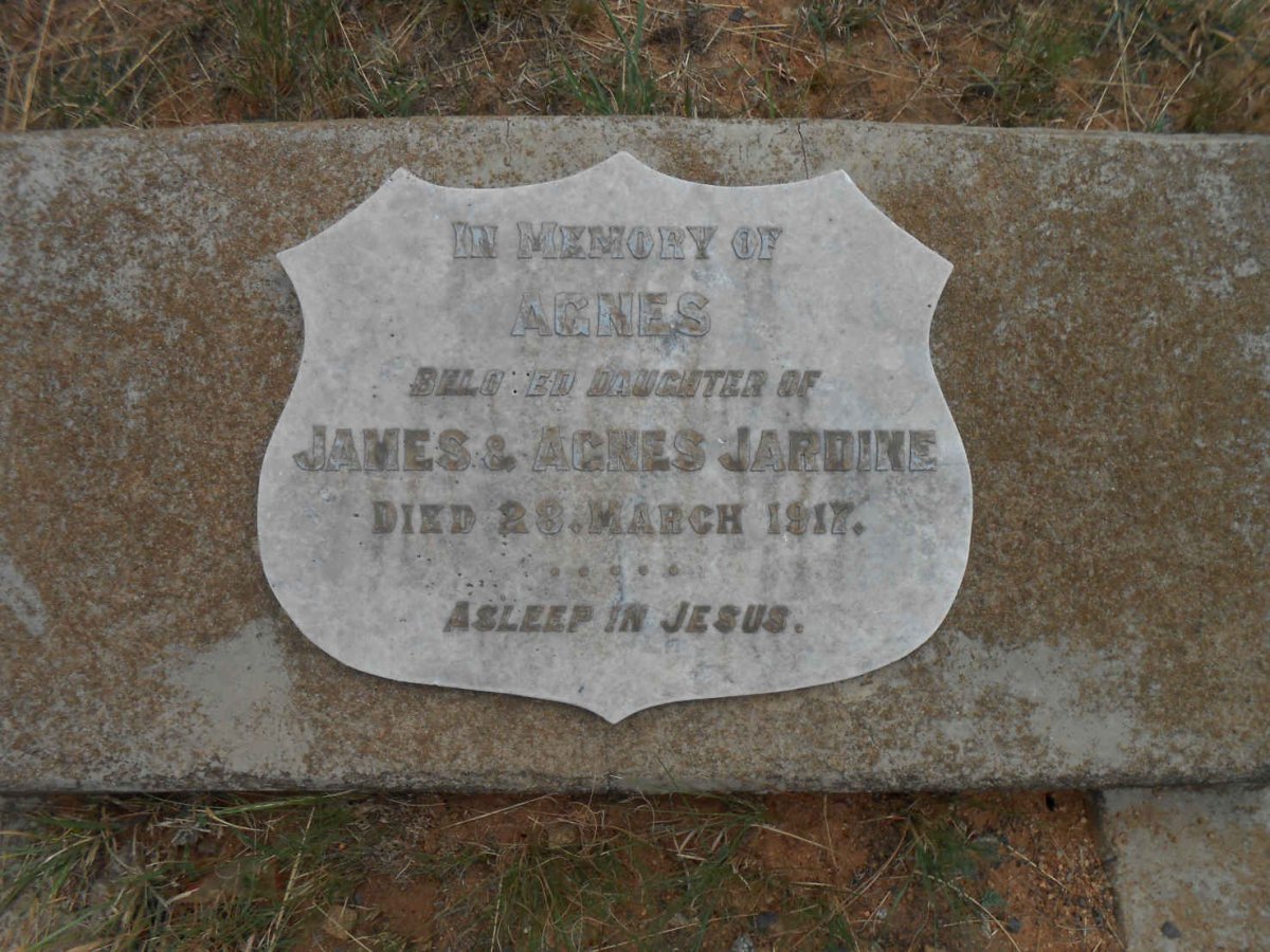 JARDINE Agnes -1917