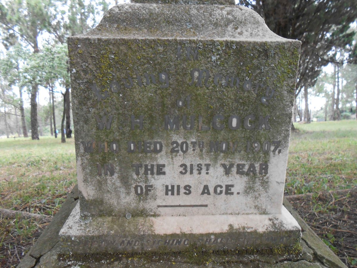 MULCOCK W.H. -1907