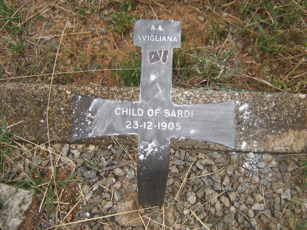 SARDI -1905
