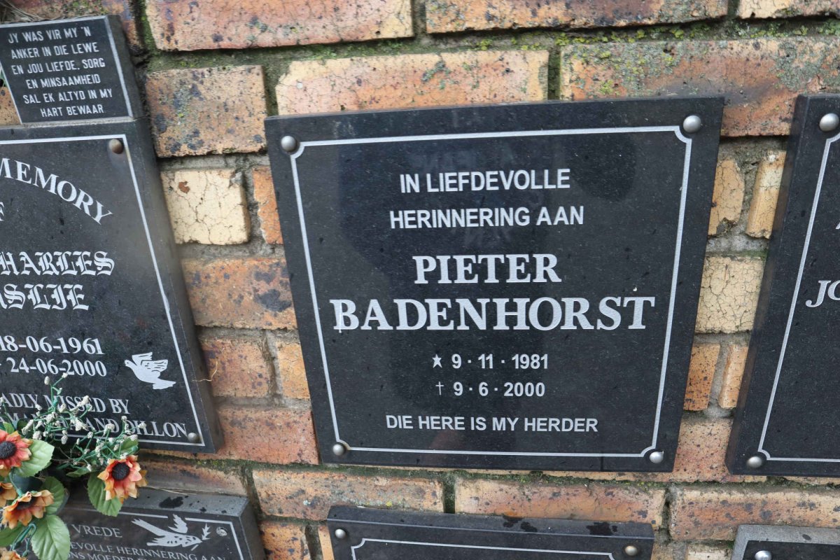 BADENHORST Pieter 1981-2000