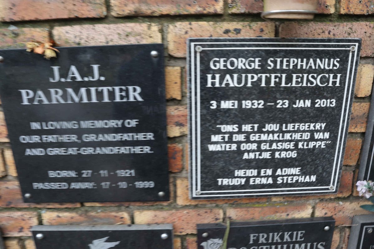 HAUPTFLEISCH George Stephanus 1932-2013