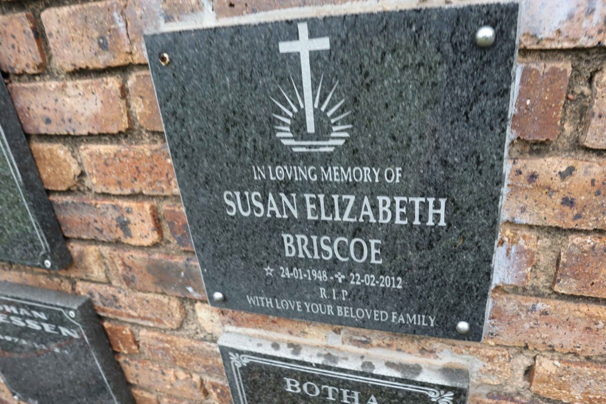 BRISCOE Susan Elizabeth 1948-2012