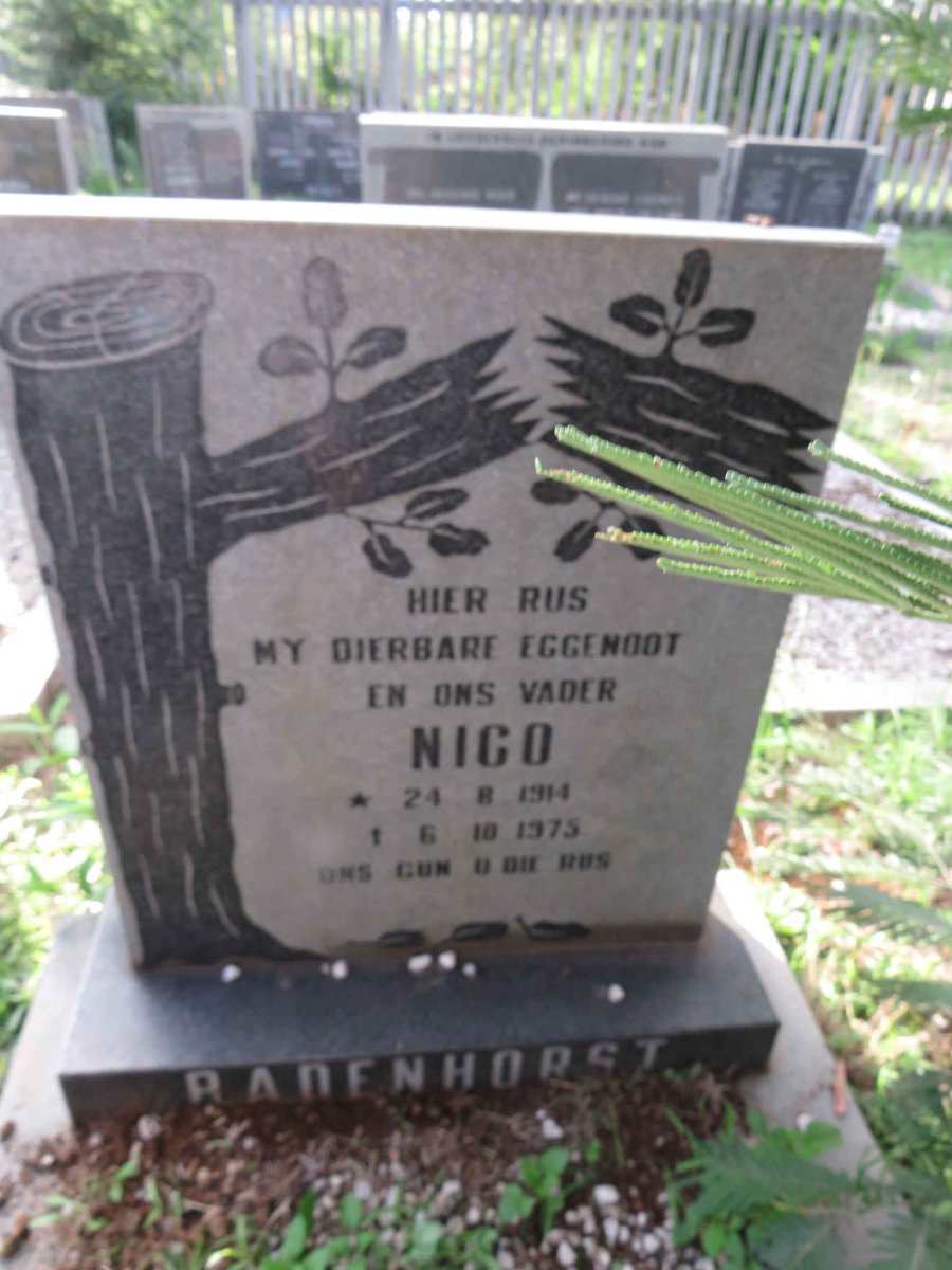 BADENHORST Nico 1914-1975