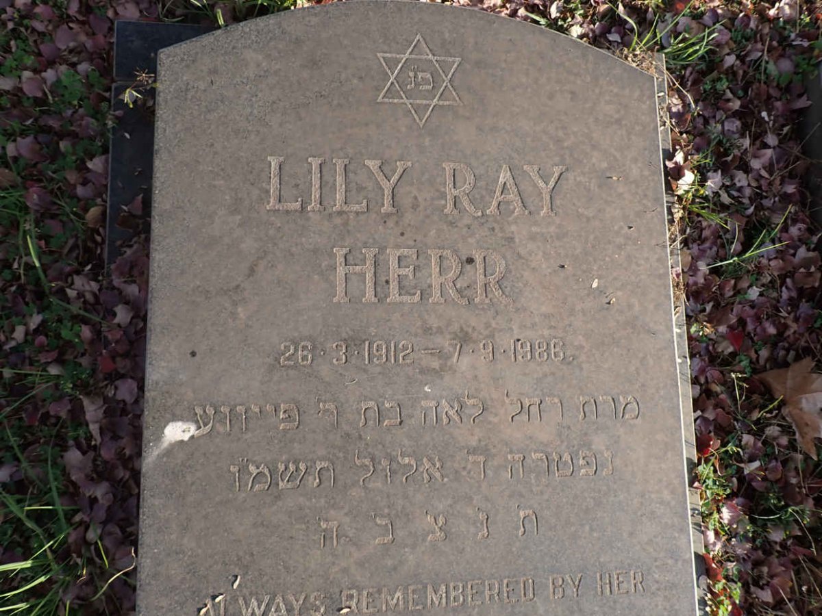 HERR Lily Ray 1912-1986