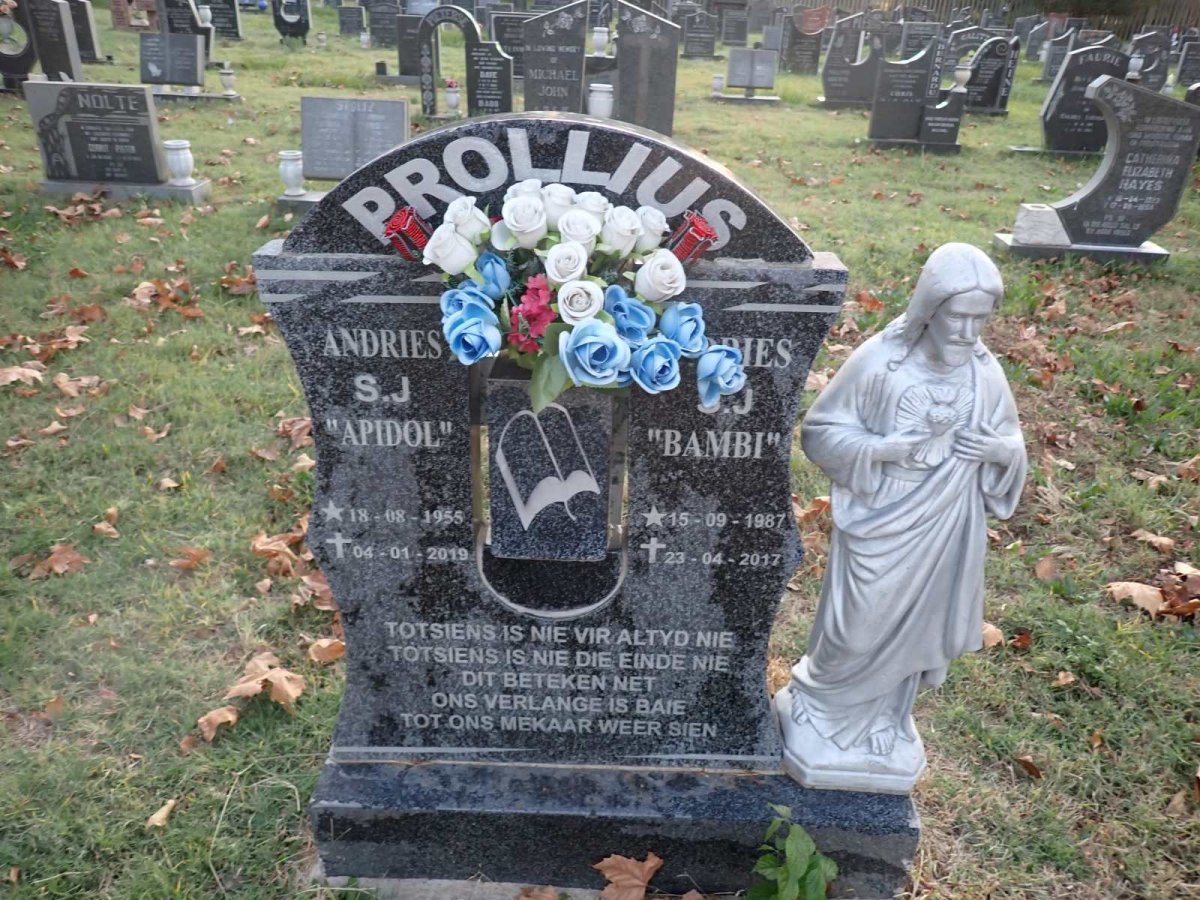 PROLLIUS Andries S.J. 1955-2019 :: PROLLIUS Andries S.J. 1987-2017