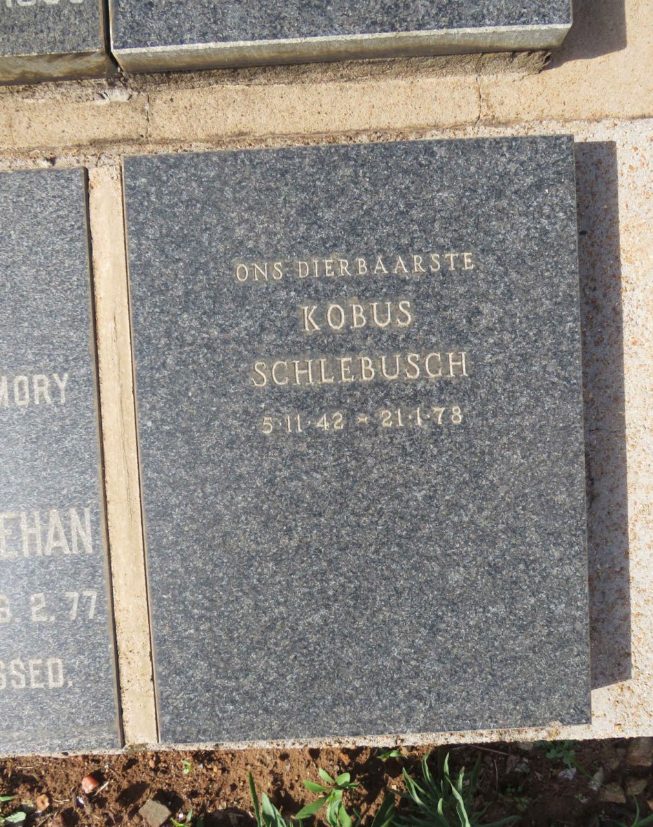 SCHLEBUSCH Kobus 1942-1978