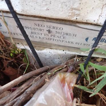 SEREO Neo 1995-2013