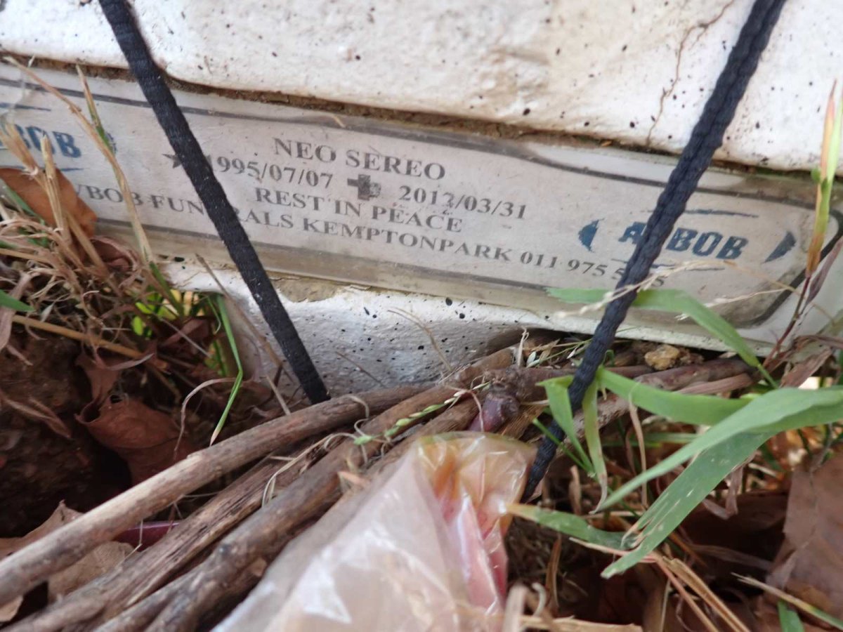 SEREO Neo 1995-2013