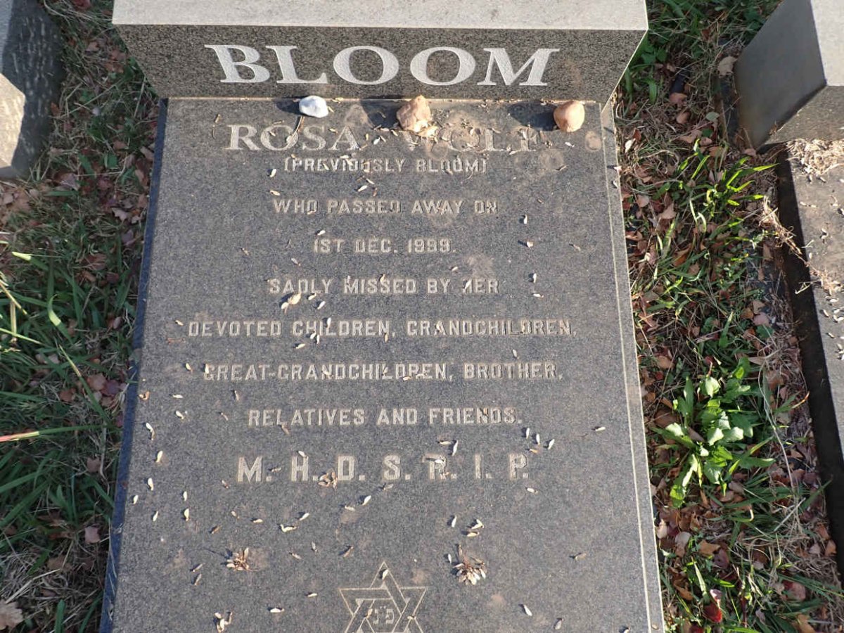 WOLF Rosa previously BLOOM -1999