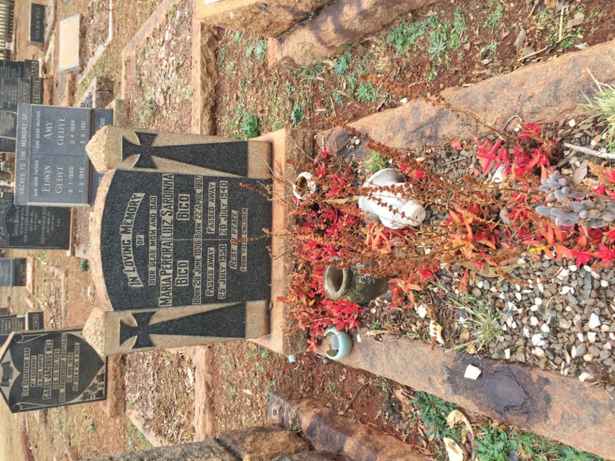 BICO Luiz Sardinha 1887-1940 &amp; Maria Pereira 1896-1950