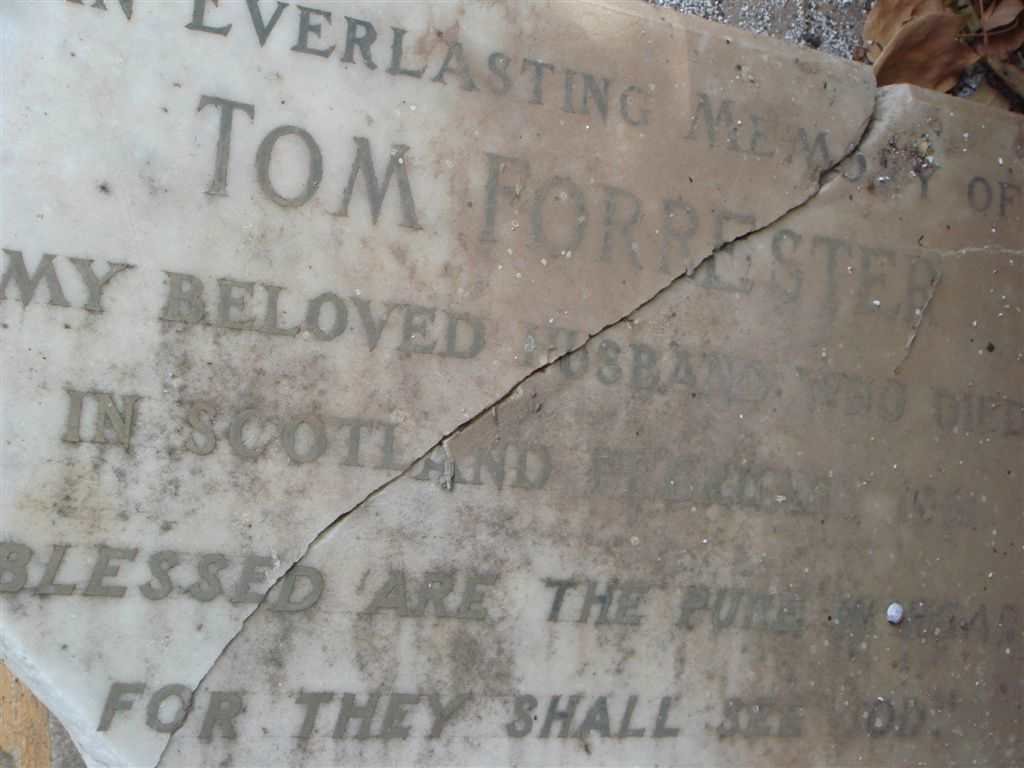 FORRESTER Tom