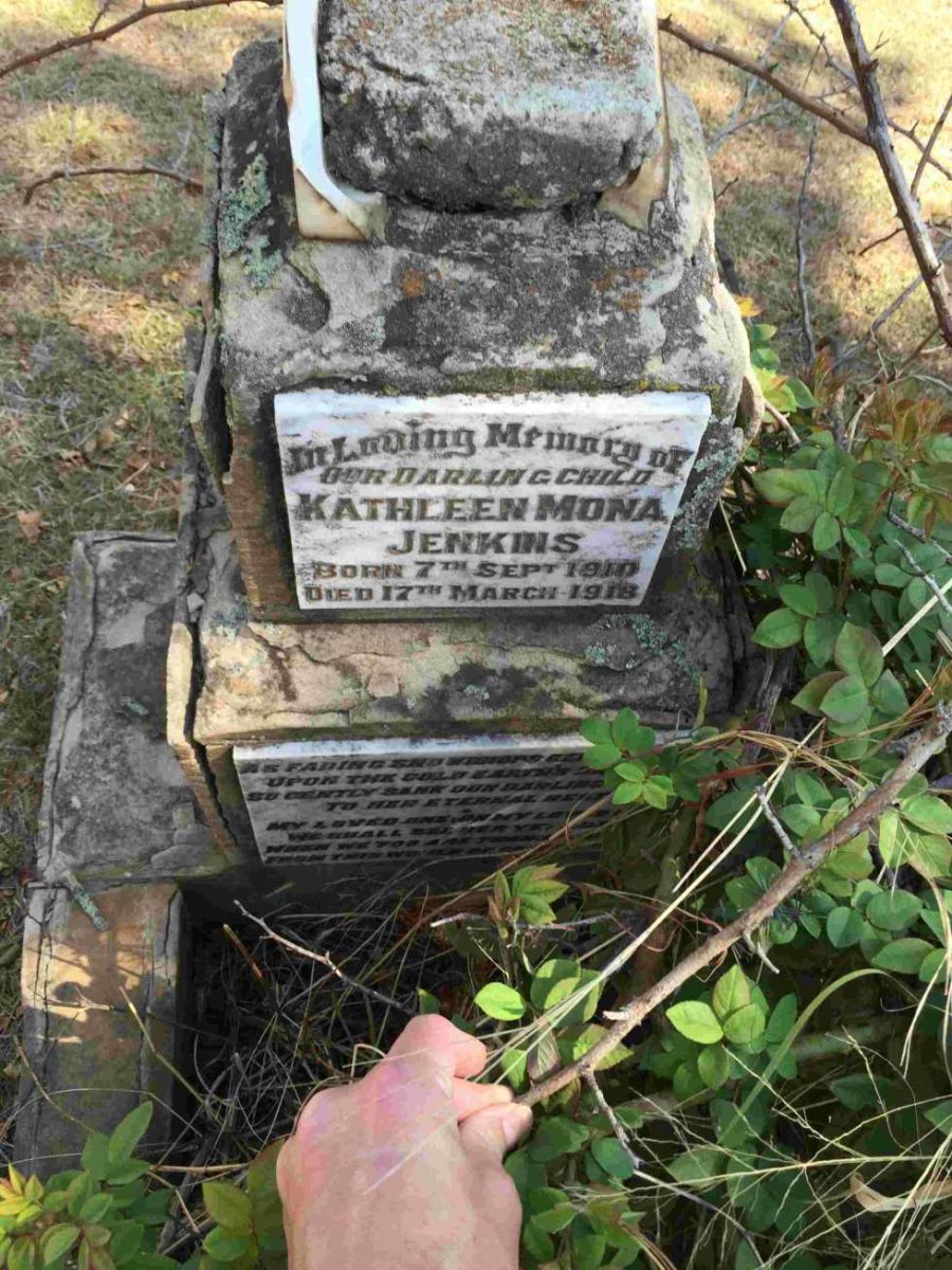 JENKINS Kathleen Mona 1910-1918