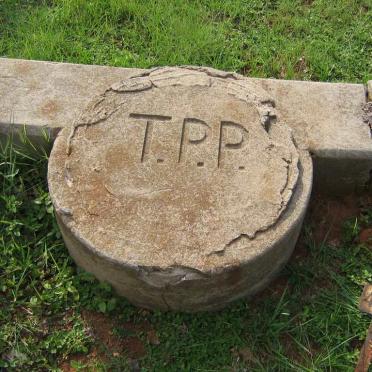 PADDY T.P.P.