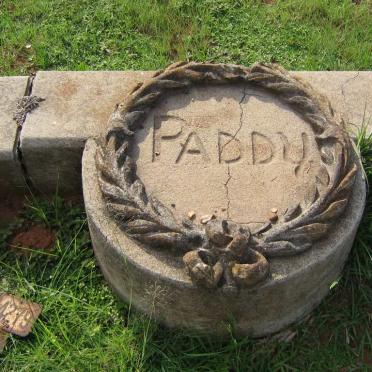 PADDY T.P.P.