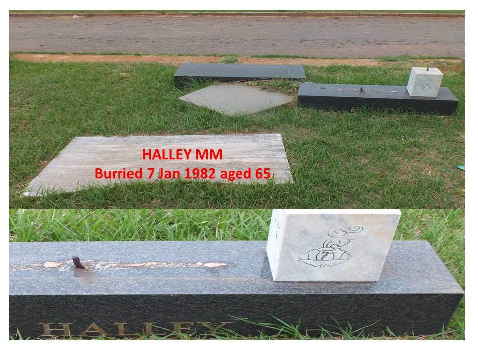 HALLEY M.M.