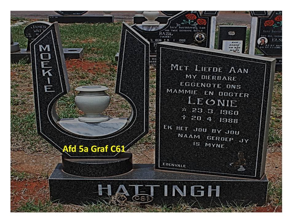 HATTINGH Leonie 1960-1988