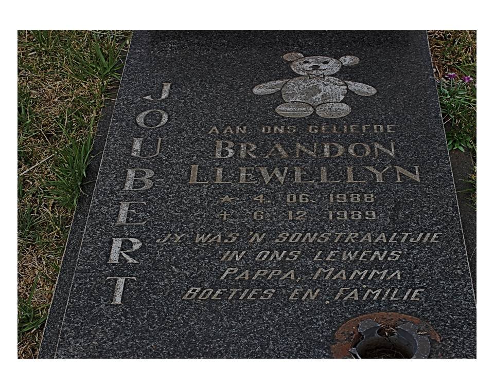 JOUBERT Brandon Llewellyn 1988-1989