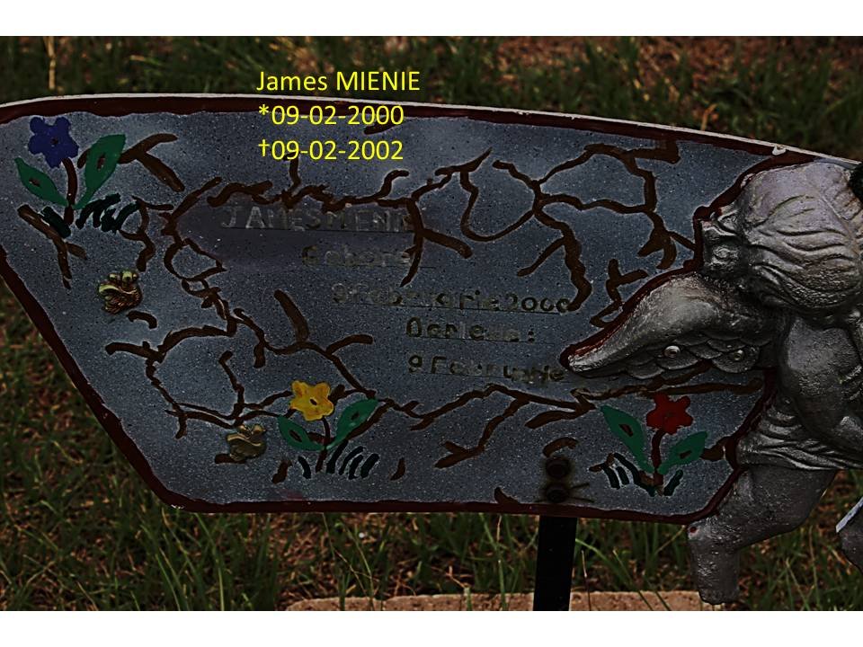 MIENIE James 2000-2002