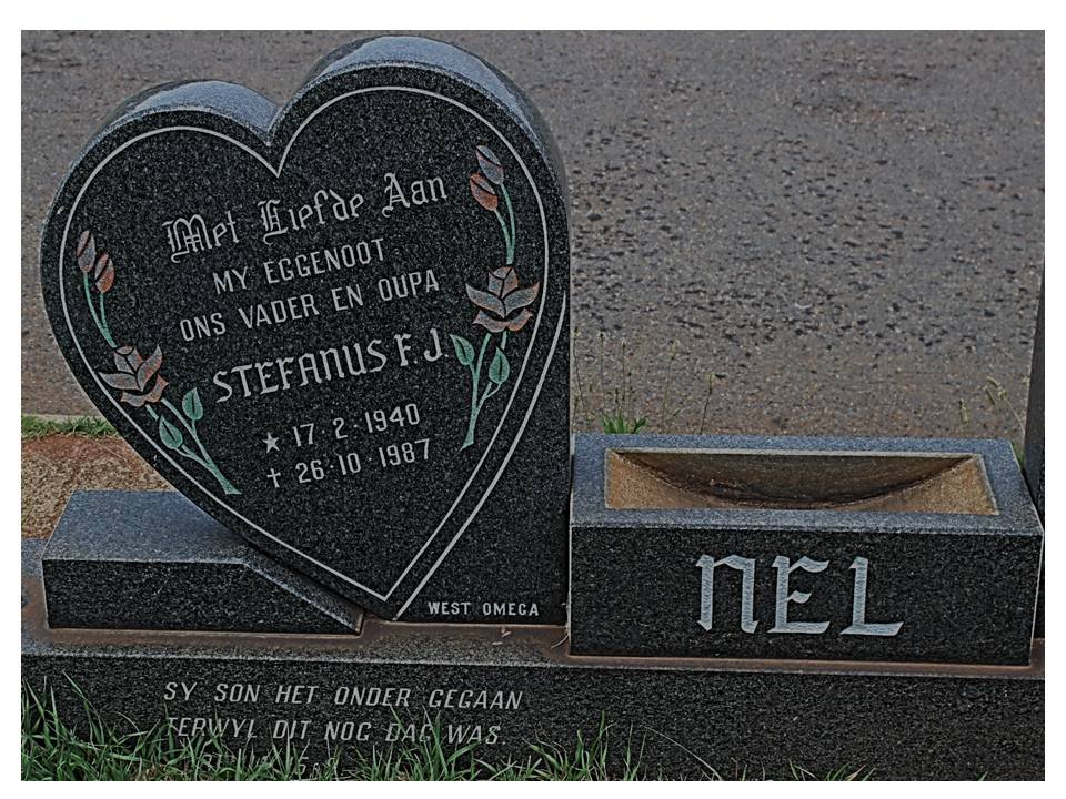 Nel SFJ