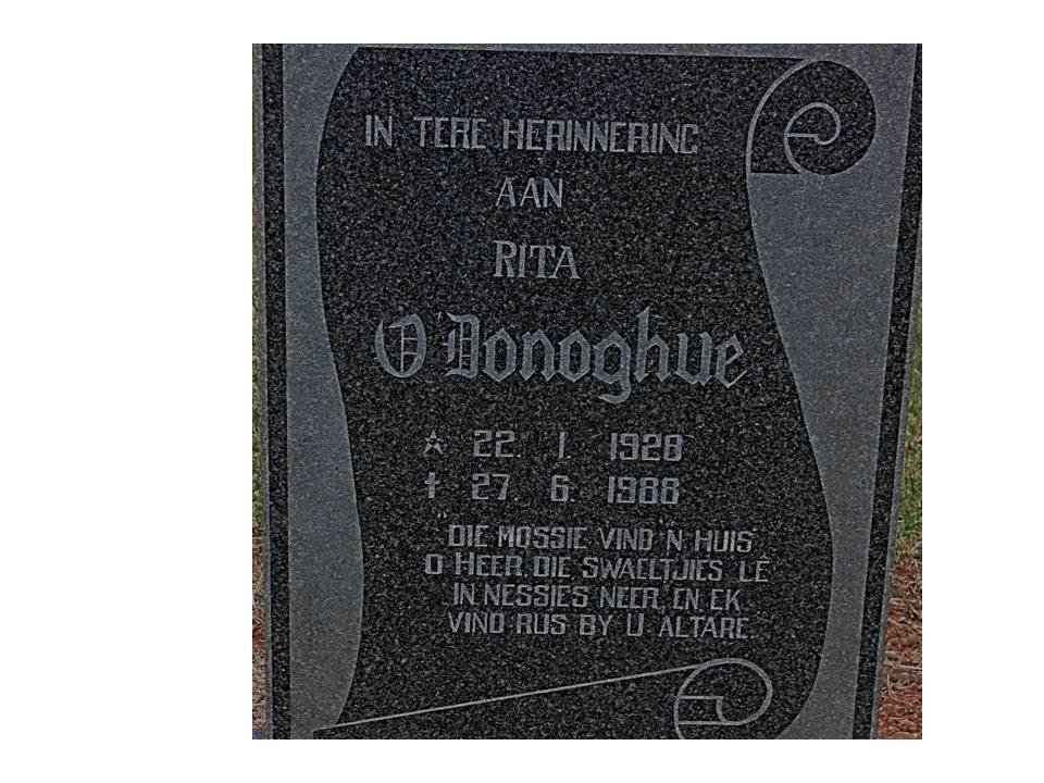 O'DONOGHUE Rita 1928-1988