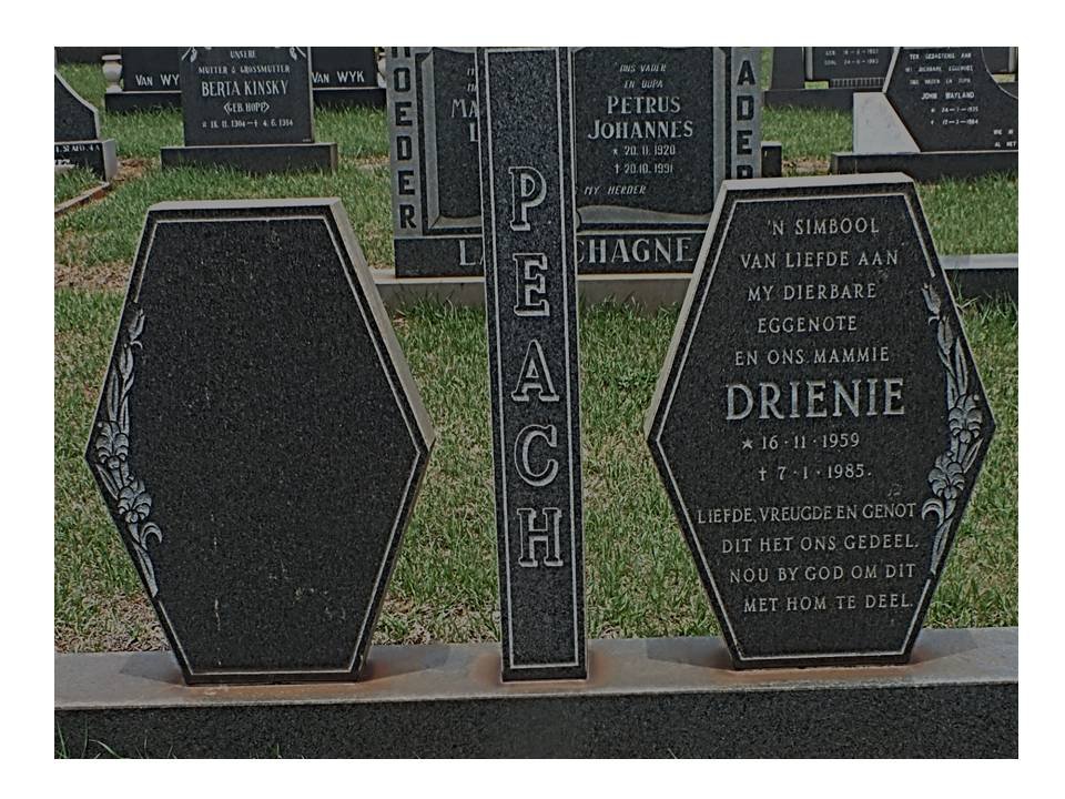 PEACH Drienie 1959-1985