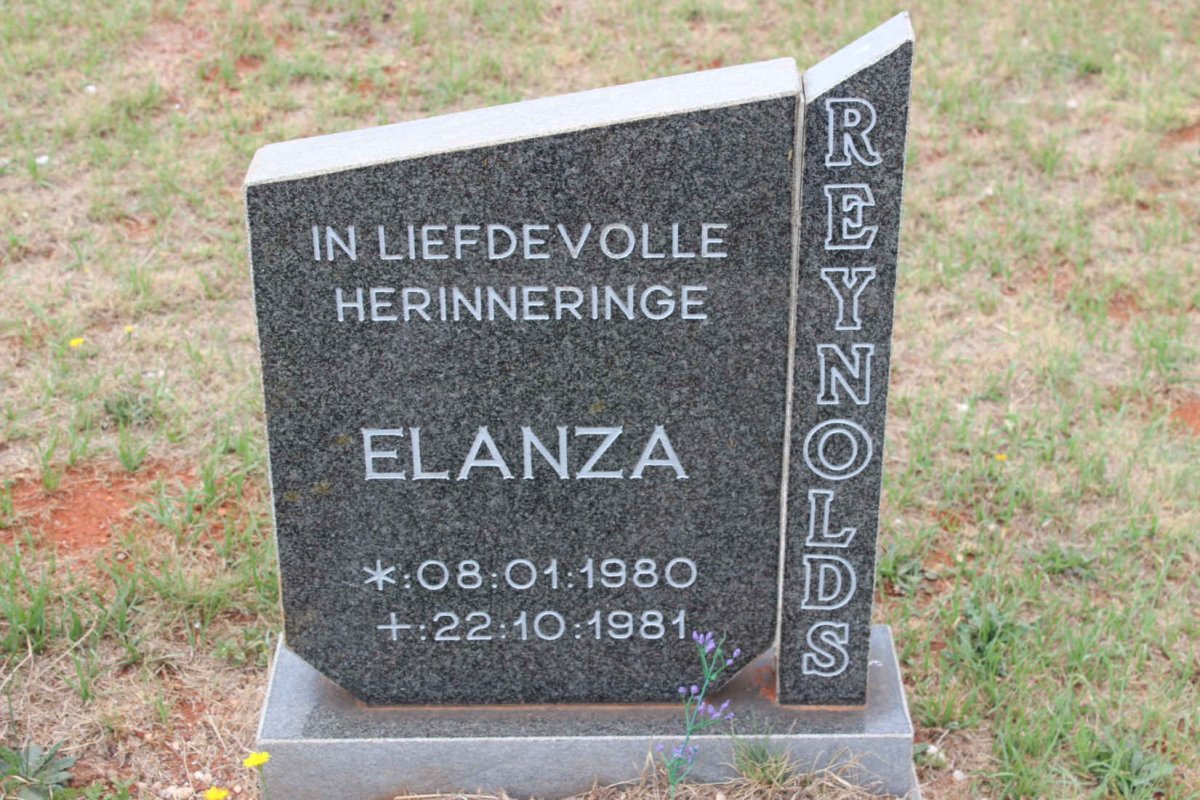 REYNOLDS Elanza 1980-1981