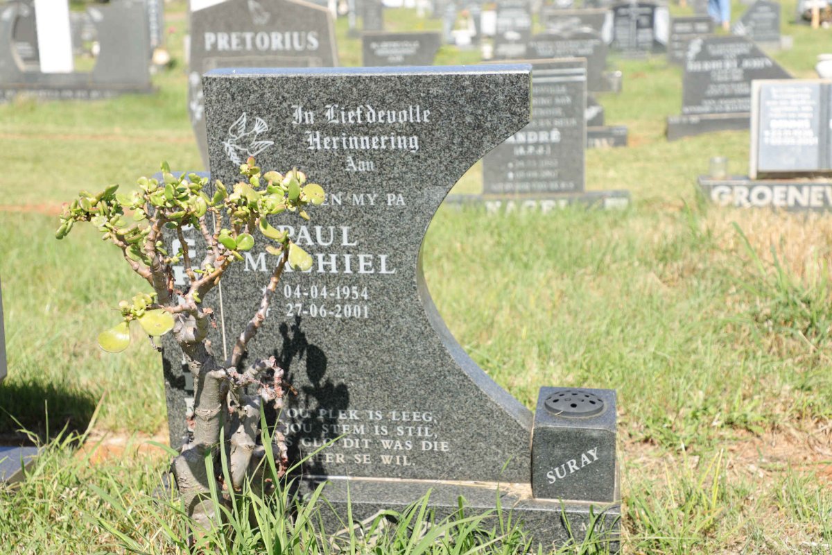 SCHEEPERS Paul Machiel 1954-2001