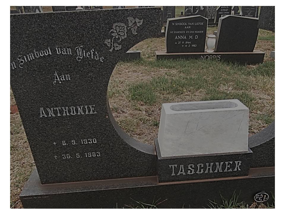 TASCHNER Anthonie 1930-1983