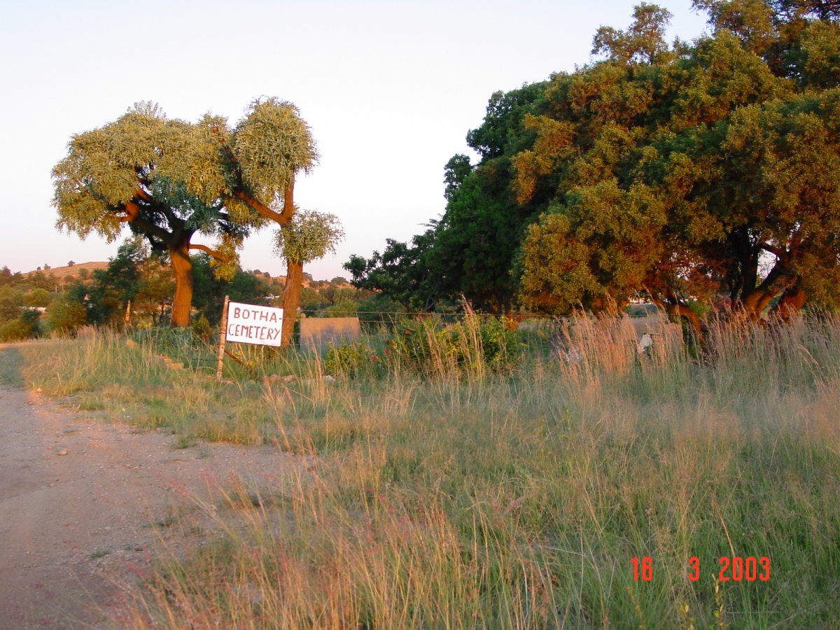 02. Overview 2003