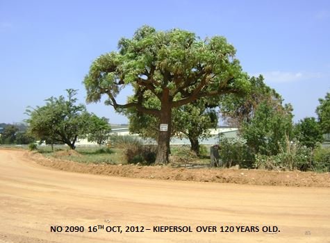 15. Overview