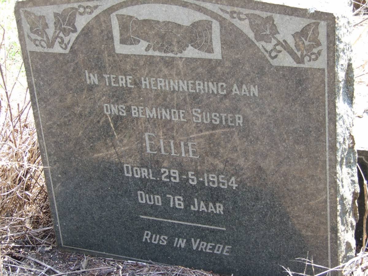? Ellie -1954