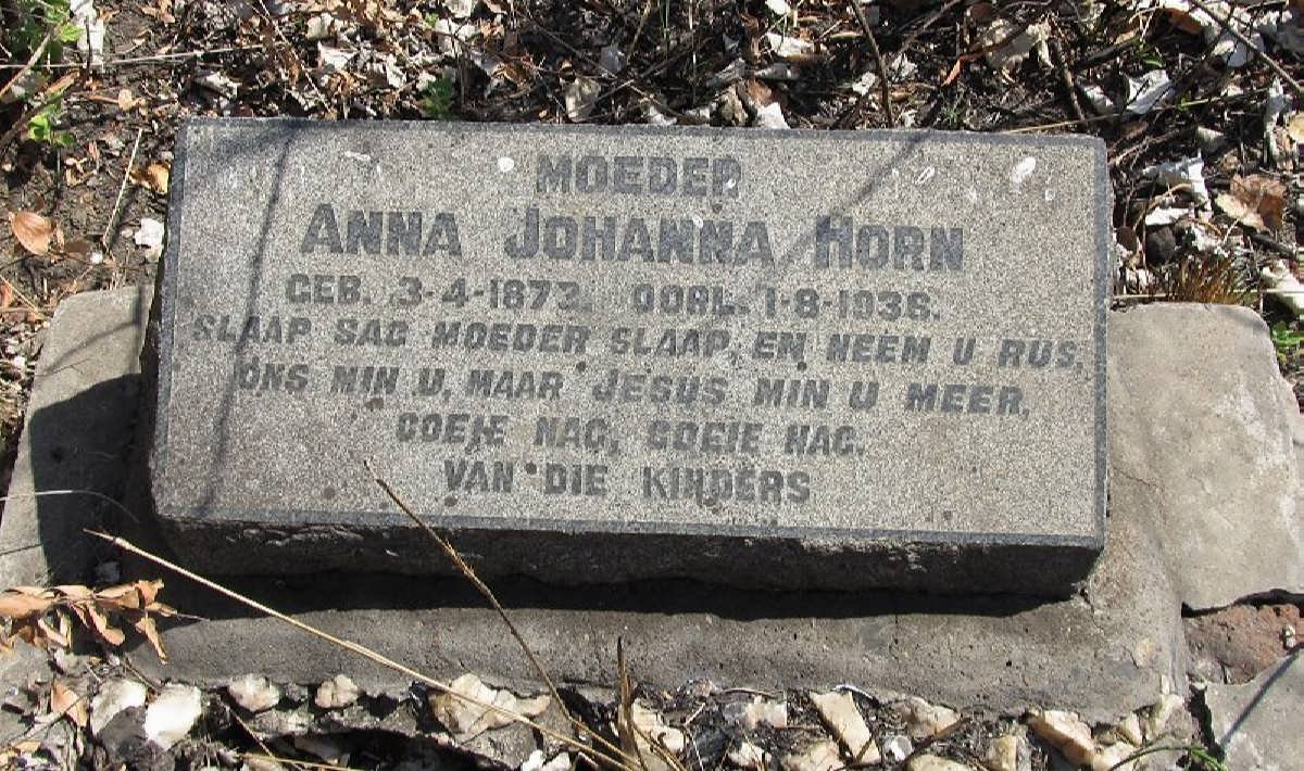 HORN Anna Johanna 1873-1936