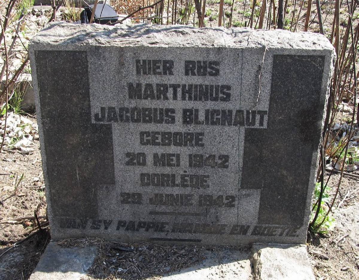 BLIGNAUT Marthinus Jacobus 1942-1942