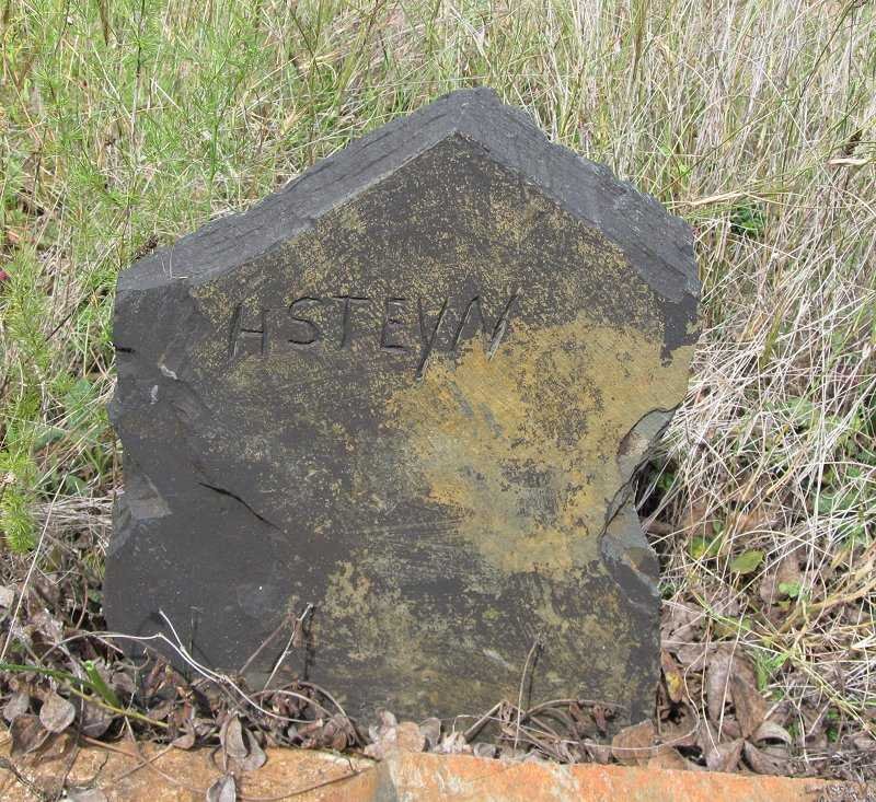 STEYN H.