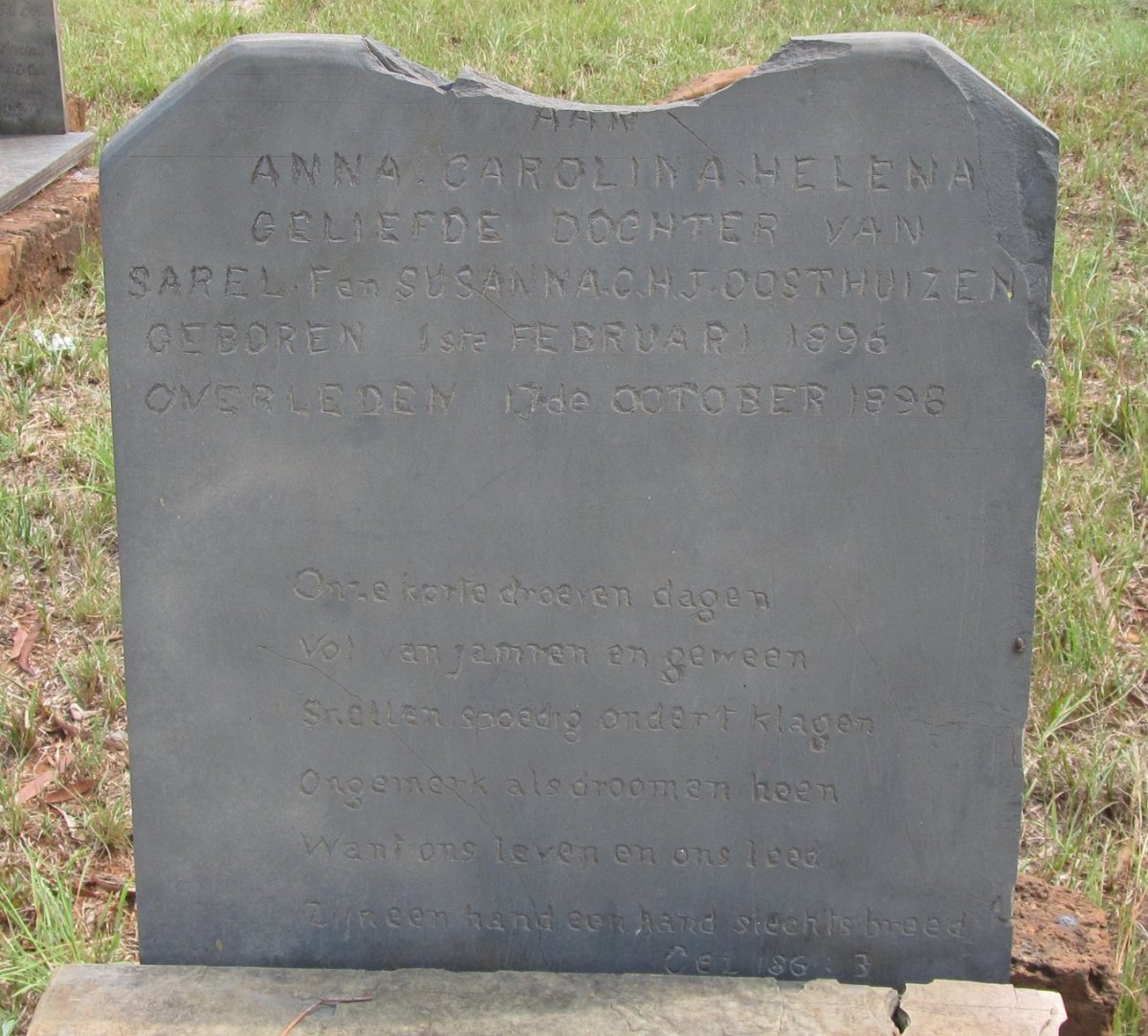 OOSTHUIZEN Anna Carolina Helena 1896-1896