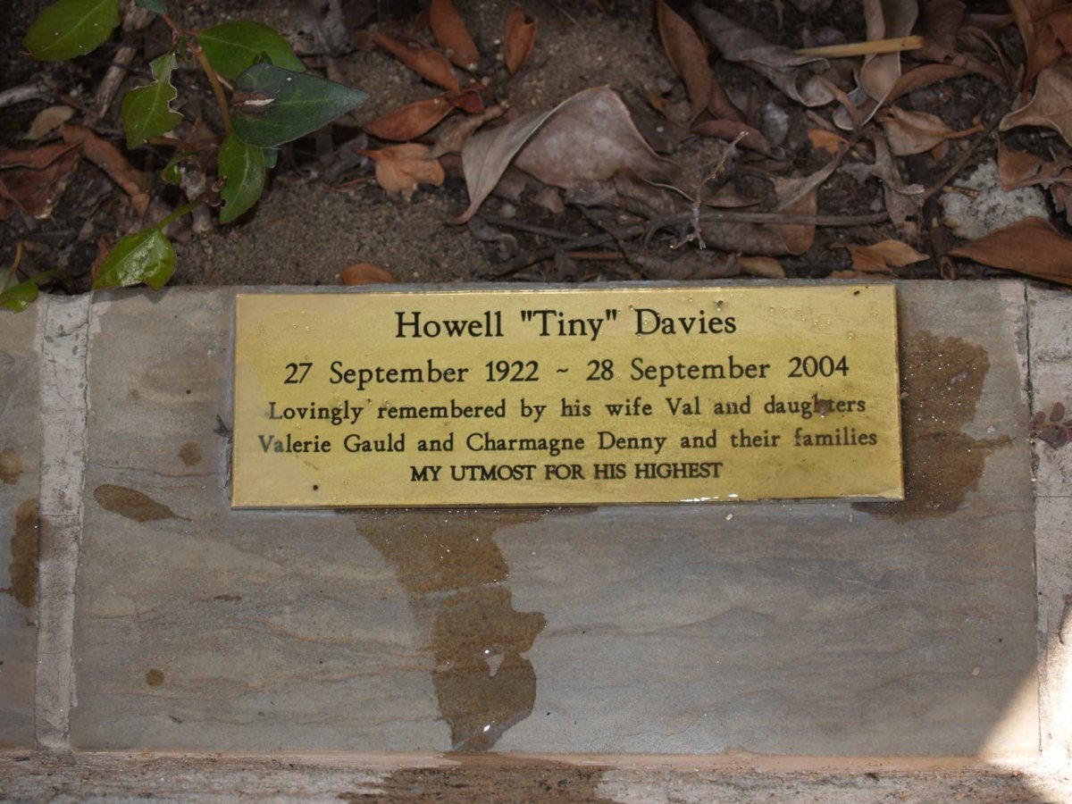 DAVIES Howell 1922-2004