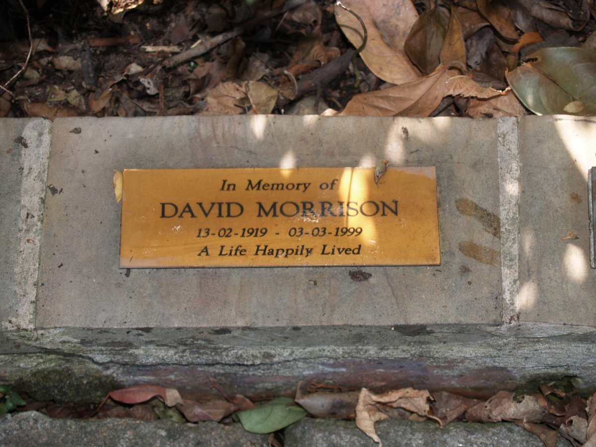 MORRISON David 1919-1999